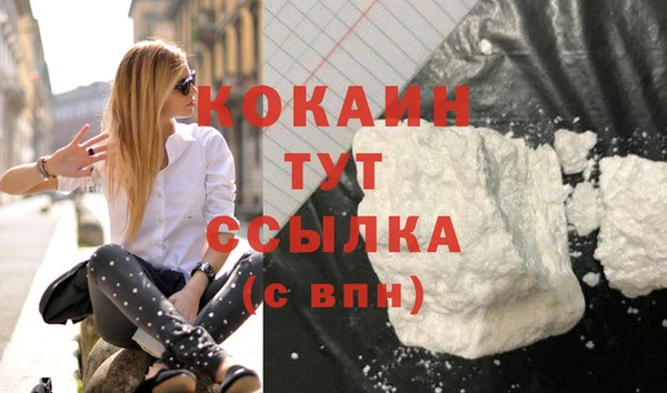 спиды Абаза